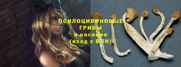 экстази Богданович